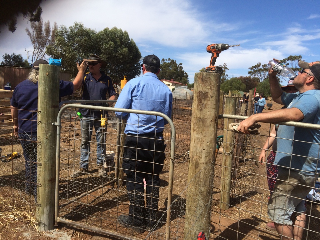 This is dad high-fiving our good mate Mark, who built our pig shelters.