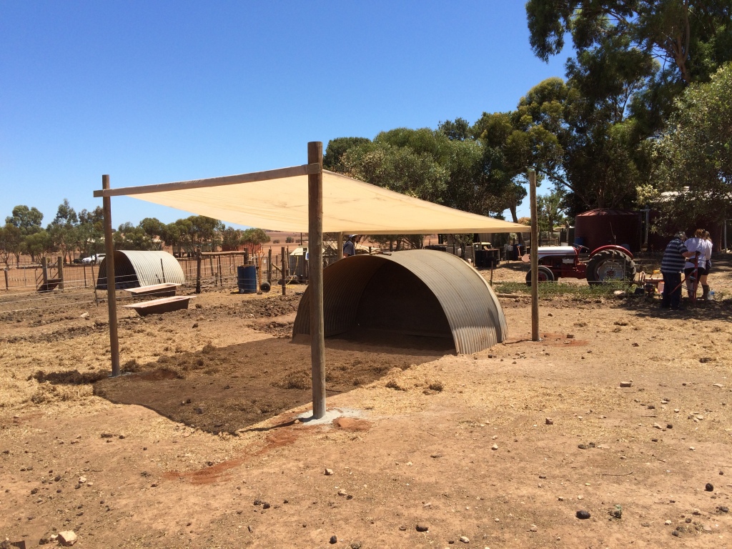 This is one of the improvements we've added since the fires. We've done the same over one of Mark's pig shelters, and probably will over the other one too.