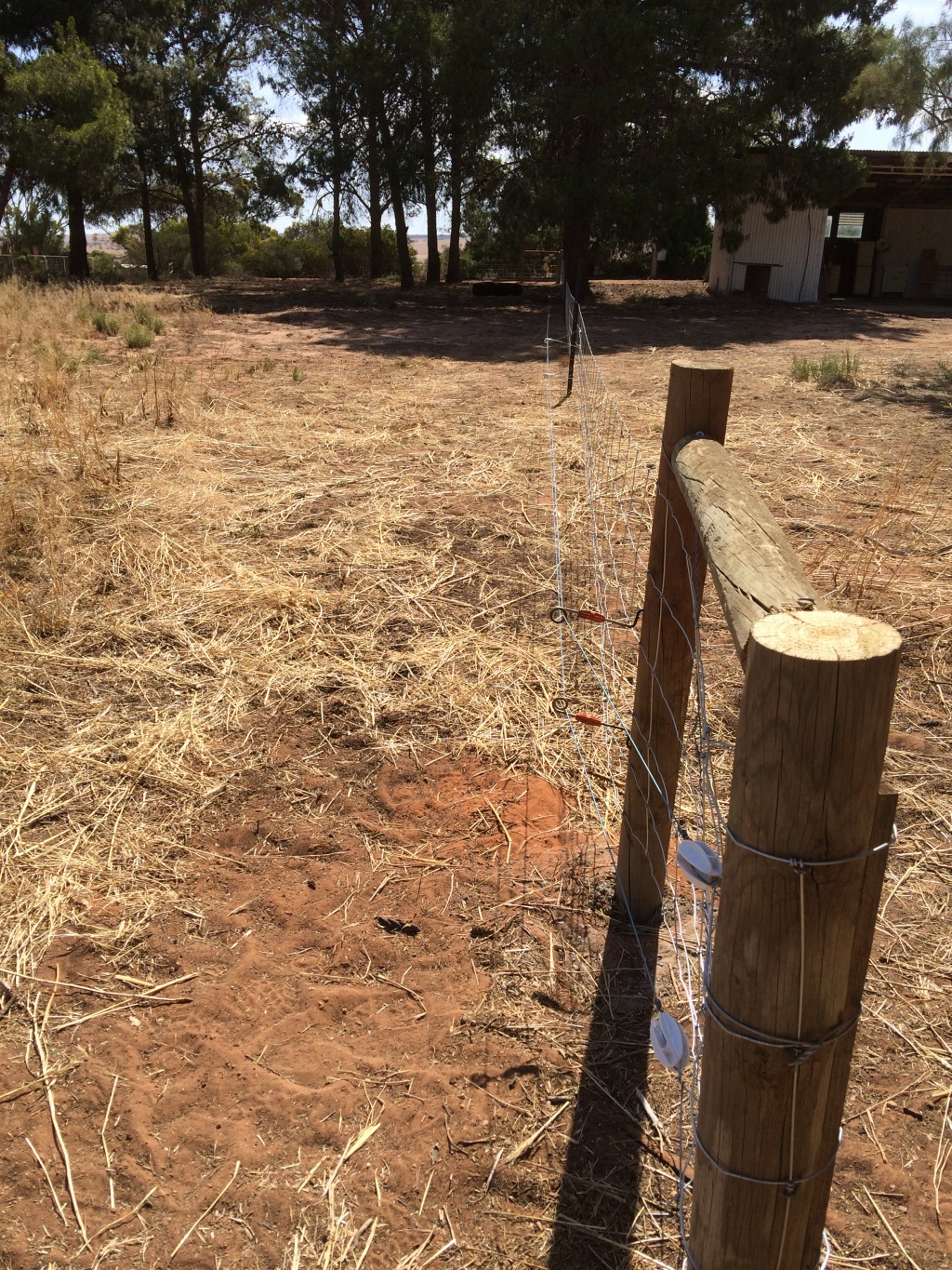We've seen a lot of pig paddocks/yards/enclosures, and most of them are super dodgy. There's something about housing pigs that makes people think they should throw material together rather than build something permanent.  Not these paddocks though - they're pro!