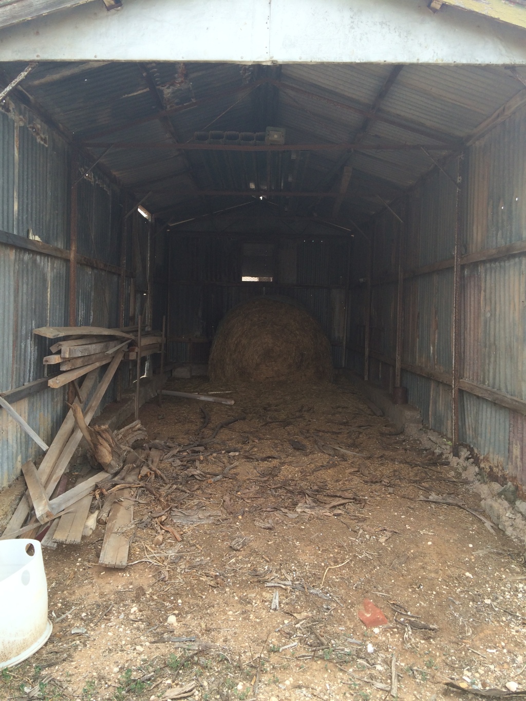 This is an old motor shed - around 3 x 7 or 8. We've also converted this into a farrowing shed, but will need to put up lean boards before putting a mum in there.